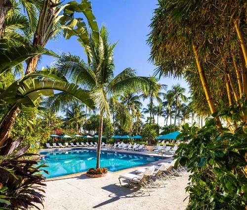 The Palms Hotel And Spa image 11