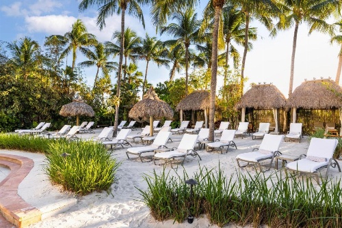 The Palms Hotel And Spa image 14