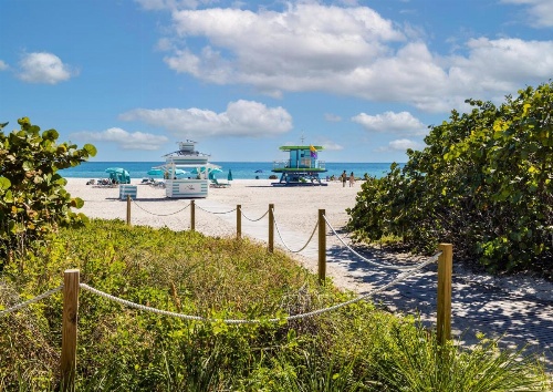 The Palms Hotel And Spa image 15